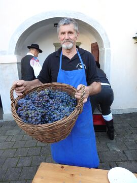 Letošnji pridelek je bil nad pričakovanji